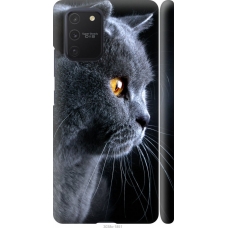 Чохол на Samsung Galaxy S10 Lite 2020 Гарний кіт 3038m-1851
