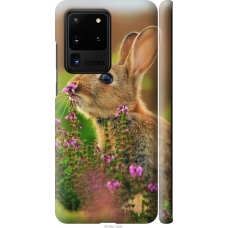 Чохол на Samsung Galaxy S20 Ultra Кролик і квіти 3019m-1831