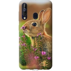 Чохол на Samsung Galaxy A60 2019 A606F Кролик і квіти 3019u-1699