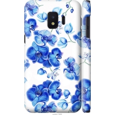 Чохол на Samsung Galaxy J2 Core Блакитні орхідеї 4406m-1565