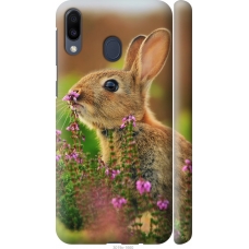 Чохол на Samsung Galaxy M20 Кролик і квіти 3019m-1660