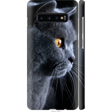 Чохол на Samsung Galaxy S10 Plus Гарний кіт 3038m-1649