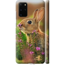 Чохол на Samsung Galaxy S20 Plus Кролик і квіти 3019m-1822